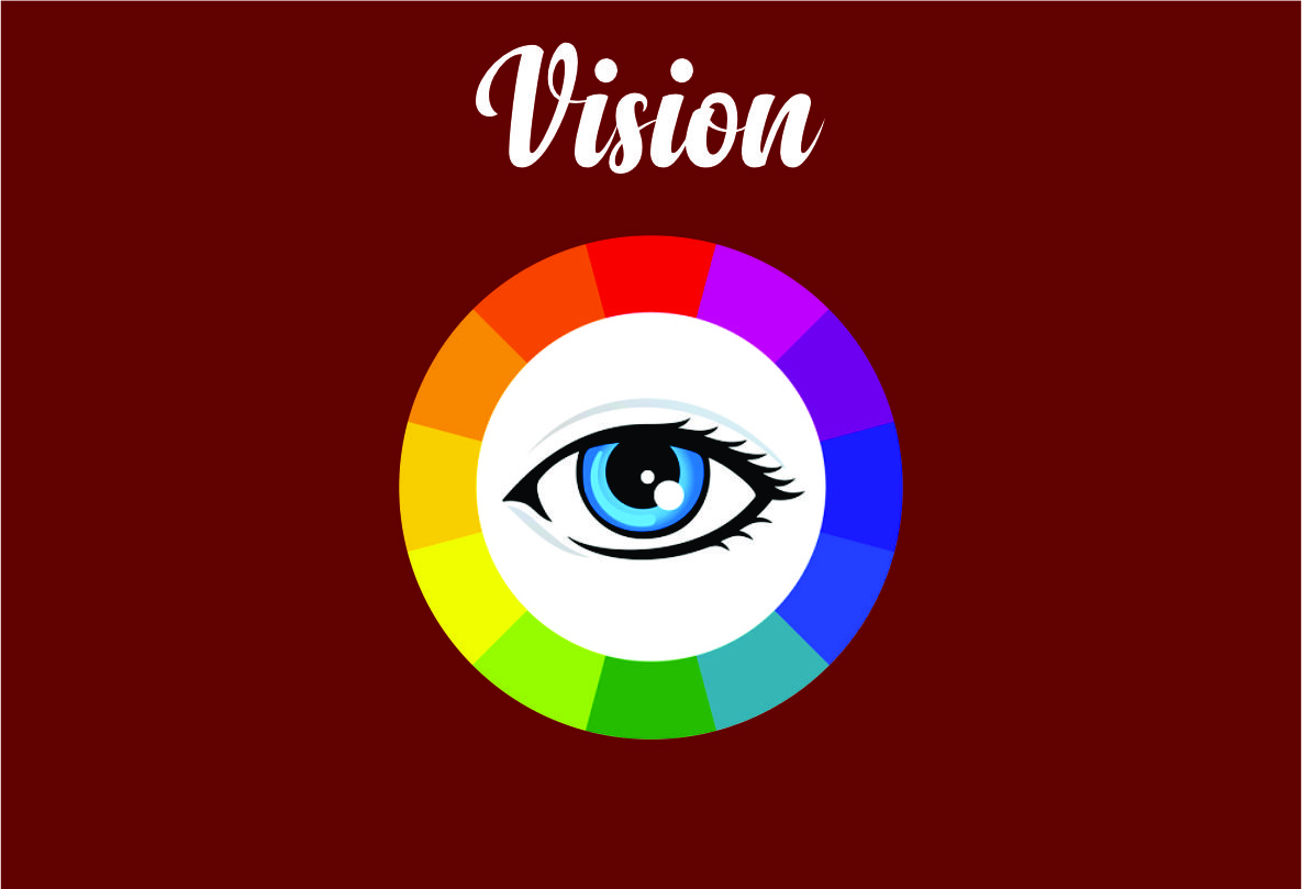 vision MHIS
